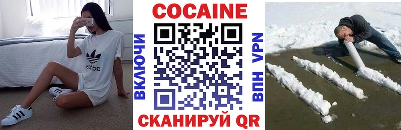 купить закладку  Бердск  ссылка на мегу зеркало  COCAIN 98% 