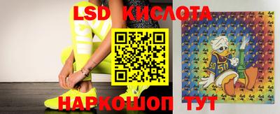 ПСИЛОЦИБИНОВЫЕ ГРИБЫ Будённовск