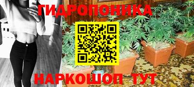 ПСИЛОЦИБИНОВЫЕ ГРИБЫ Будённовск
