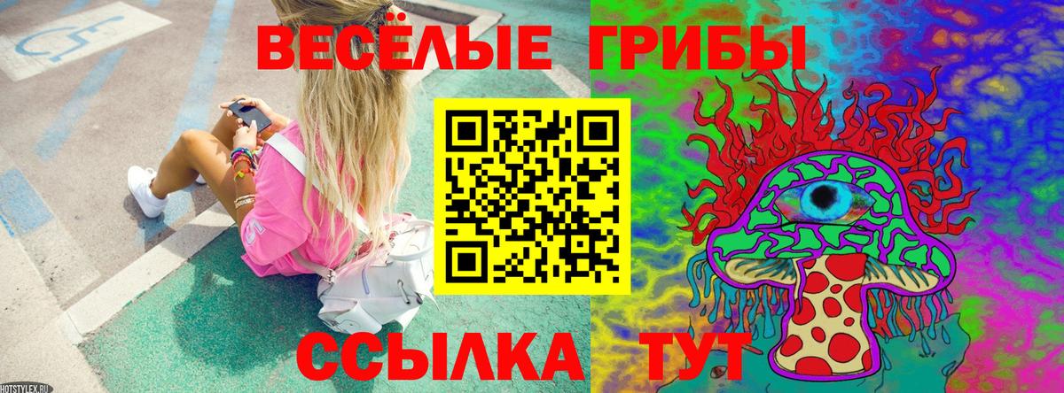 Псилоцибиновые грибы мицелий Бердск
