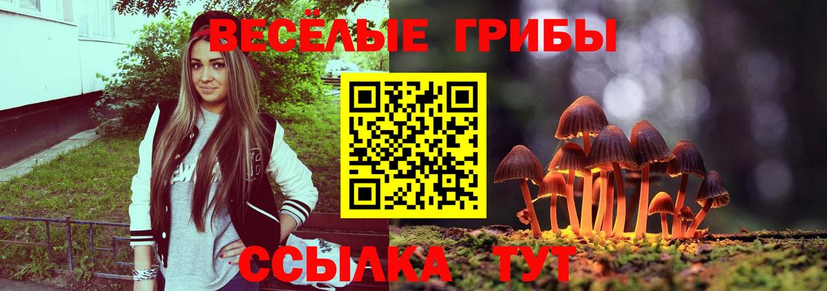 Псилоцибиновые грибы Psilocybe  Вход с VPN  Бердск 